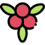 Berries icon 64x64