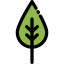 Leaf icon 64x64