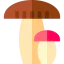 Mushroom icon 64x64