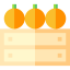 Orange icon 64x64