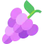 Grapes 상 64x64