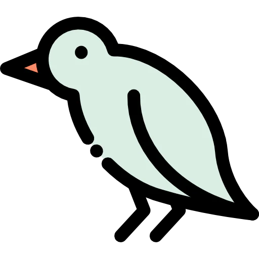 Bird icon