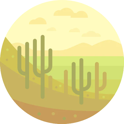 Desert icon