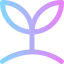 Sprout icon 64x64