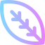 Leaf icon 64x64