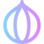 Onion icon 64x64