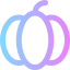 Pumpkin icon 64x64