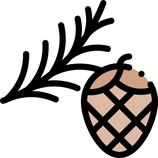 Pine icon