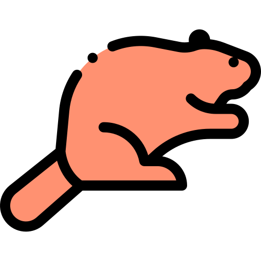Beaver icon