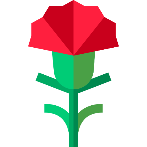 Carnation icon