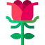 Rose icon 64x64