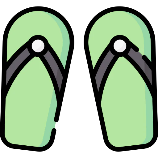 Flip flops icon