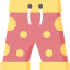 Shorts icon 64x64