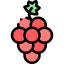 Grapes 상 64x64