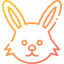 Rabbit іконка 64x64