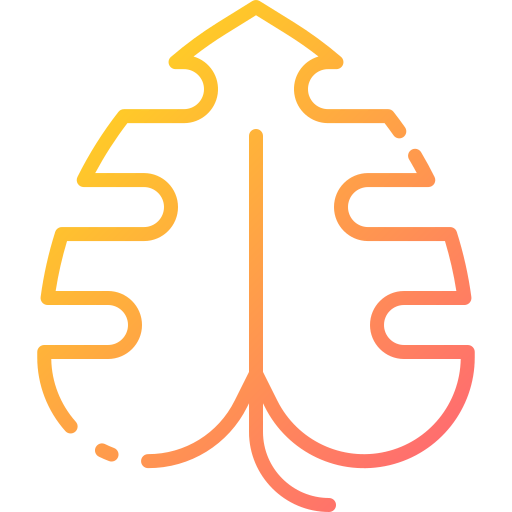 Leaf icon