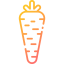 Carrot icon 64x64