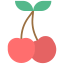 Cherry icon 64x64