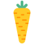 Carrot icon 64x64
