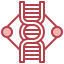 Dna structure icon 64x64