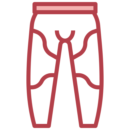 Pants icon