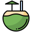 Coconut water 상 64x64