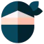 Ninja icon 64x64