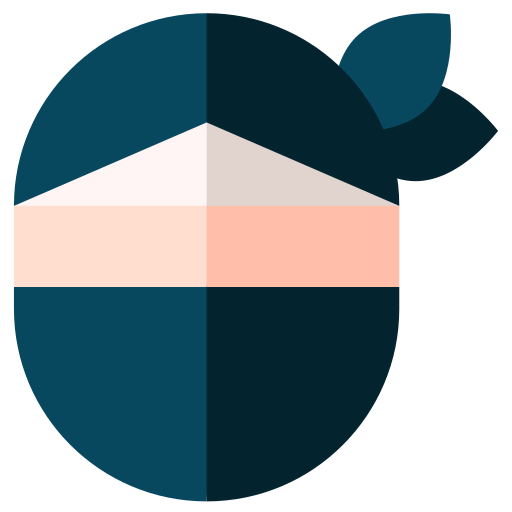Ninja icon