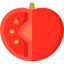 Tomato ícone 64x64