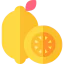 Lemon icon 64x64