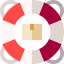 Lifesaver icon 64x64