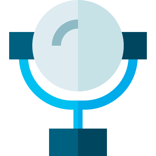 Mirror icon