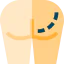Gluteus icon 64x64