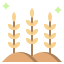 Пшеница иконка 64x64