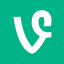 Vine icon 64x64