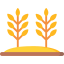 Пшеница иконка 64x64