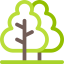 Forest icon 64x64