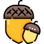 Nut іконка 64x64