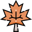 Maple icon 64x64