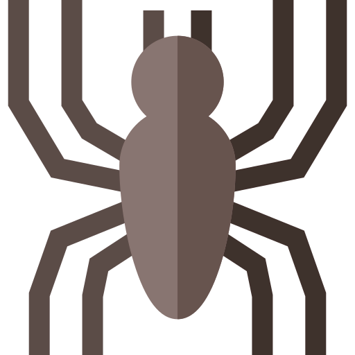 Spider icon