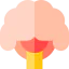 Neurology biểu tượng 64x64
