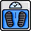 Scale icon 64x64