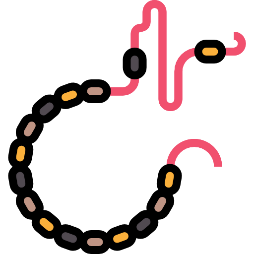 Bracelet icon