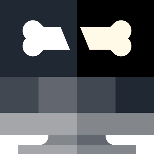 X ray icon