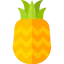 Pineapple Symbol 64x64
