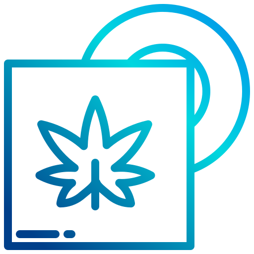 Cd icon