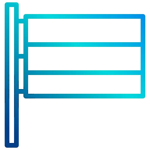 Flag icon