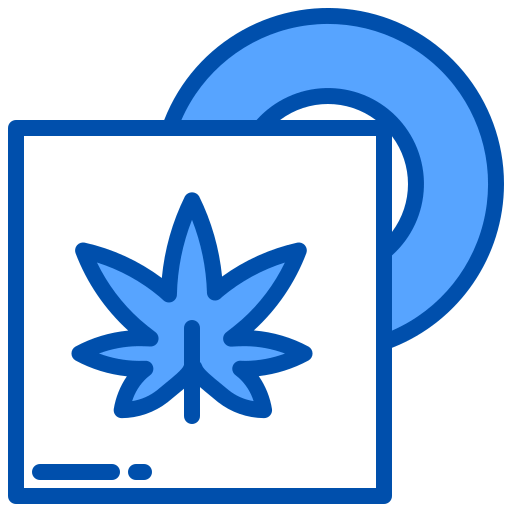 Cd icon