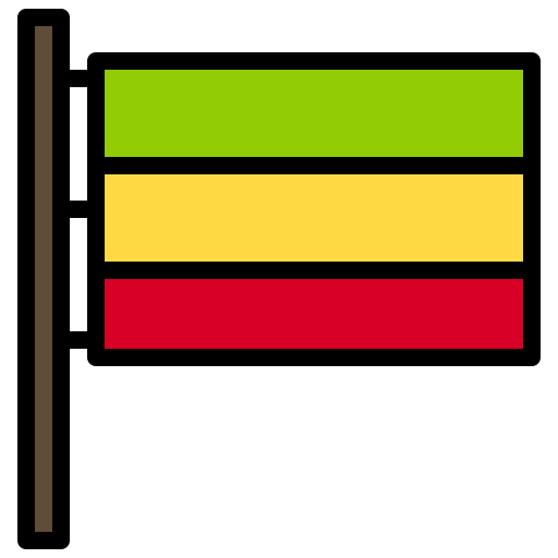 Flag icon