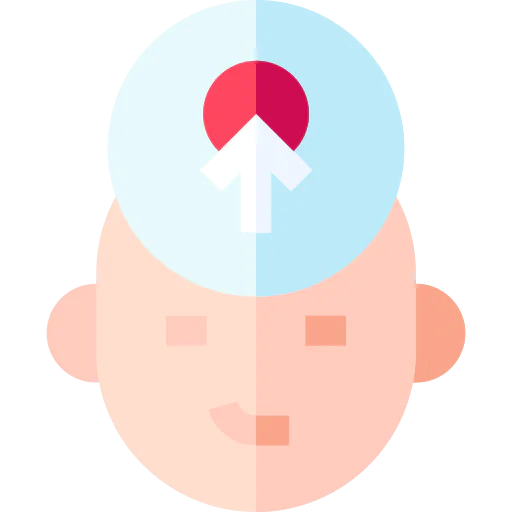 Decision icon